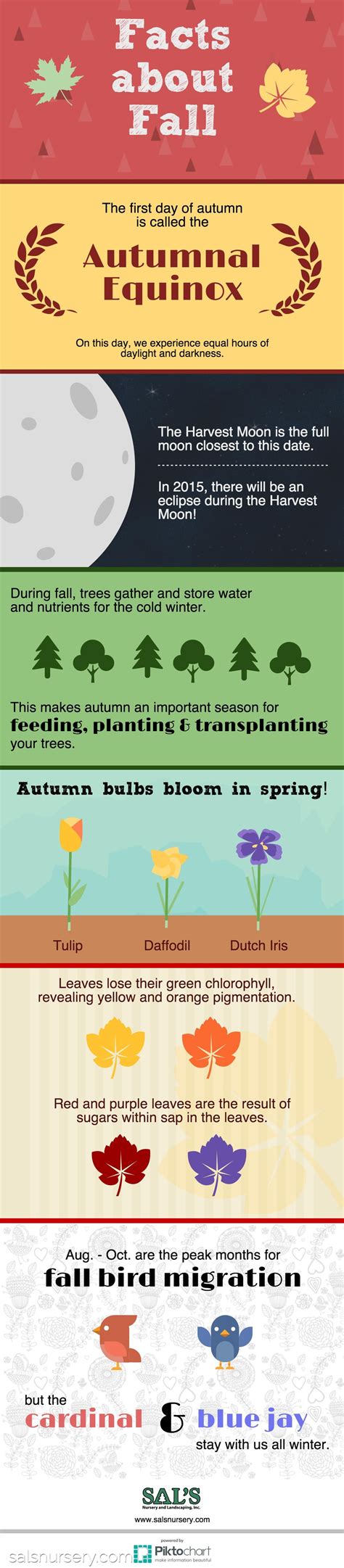 fun fall facts sal s nursery and landscaping