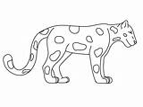 Jaguar Coloring Animal Kids Animals Rainforest Pages Printable Drawing Easy Cartoon Outline Drawings Realistic Jungle Sheets Grassland Print Clipart Gambar sketch template