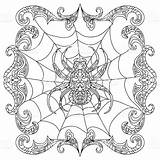 Zentangle Spinne Spin Farbtonseite Kleurende Geeksvgs Vektorgrafik Ausmalbilder sketch template