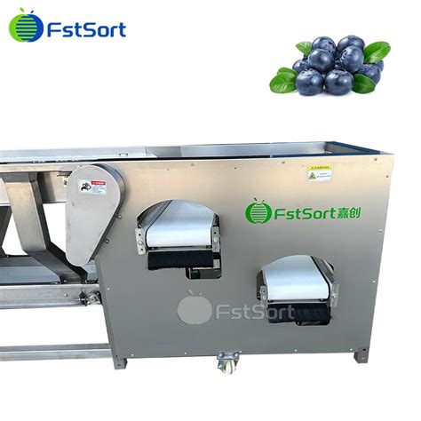 Upgraded Version Fresh And Frozen Blueberry Sorting Machine Berries