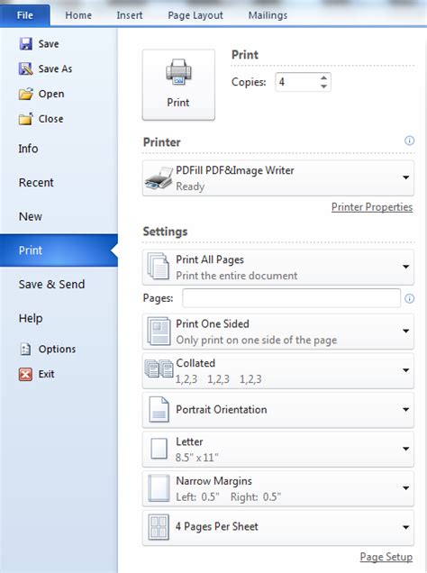 windows      word print   page document multiple