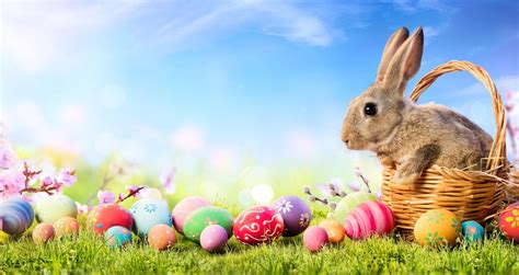 Sap Brandvoice Does The Easter Bunny Have A Sustainable