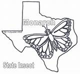 Texas Coloring Tree Pecan State Color Pages Template Texasbob Monarch Butterfly Sheets Bob sketch template