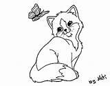 Kitten Coloring Butterfly Coloringcrew sketch template
