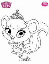 Coloring Pets Princess Palace Pages Disney Pet Puppy Printables Skgaleana Drawing Brie Kids Printable Haven Whisker Cinderella Colouring Getdrawings Fun sketch template