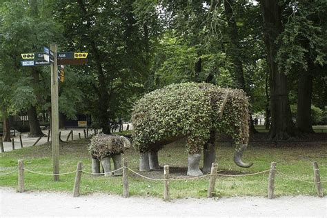 quirky ways  belgiums planckendael zoo ecophiles