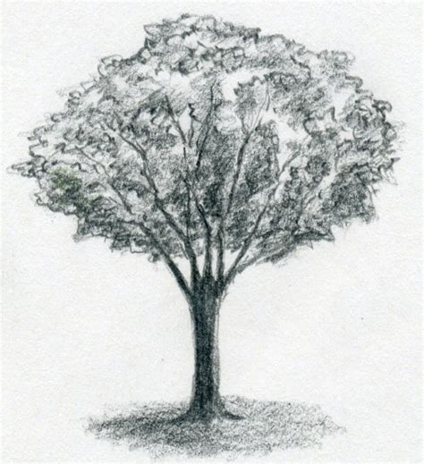 draw  tree simply  easily