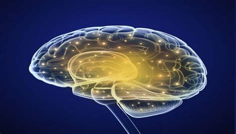 brain develops differently  bipolar disorder health news zee news