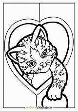 Kleurplaat Poes Hartje Kleurplaten sketch template