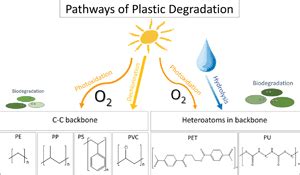 pathways  degradation  plastic polymers floating   marine