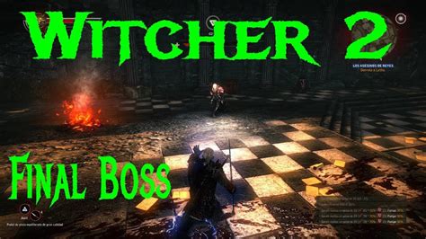 The Witcher 2 Final Boss Youtube