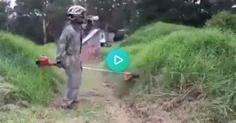 Sexually Extreme Weed Eating  On Imgur