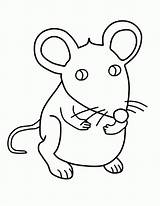 Rato Ratos Ratona Colorir Rat Ratones Rats Lab Cuento Cuentos Patron Queijo Gaddynippercrayons Pintarcolorir sketch template