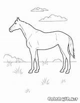 Coloring Meadow Horse Pages Colorkid Dog sketch template