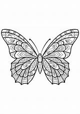 Papillon Motifs Jolis Insectes Superbes Papillons sketch template
