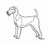 Airedale Terrier Clipground sketch template