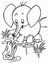 Crocodile Colorat Elefanti Savana Planse Elefantes Animali Disegno Elefante Bojanke Animale P05 Colouring Dumbo Misti Zivotinje Pret Colorear Bojanje Slonova sketch template