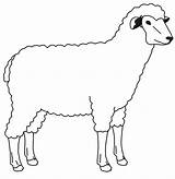 Sheep Kids Drawings Outline Clipart Animals Coloring Library Farm sketch template