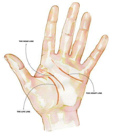 guide  palm reading real simple