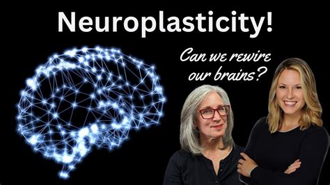 neuroplasticity rewire your brain youtube