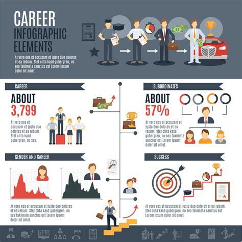 career infographics set  vector art  vecteezy