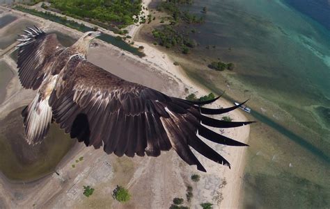 winners   drone aerial photo contest announced national geographic blog