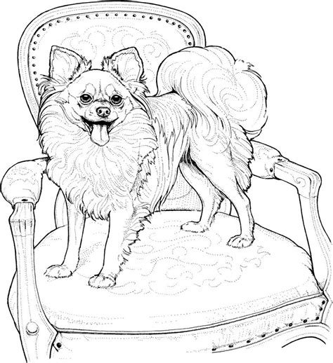 dog coloring pages   kids  adults  coloring dog