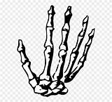 Skeleton Hand Clipart Halloween Bone Background Human Drawing Pinclipart Line Cliparts Middle Library sketch template