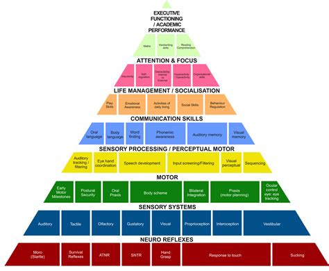 developmental pyramid sterling practice