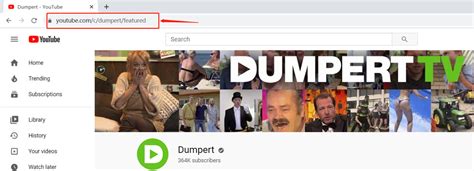 dumpert downloader handy solutions   dumpert video