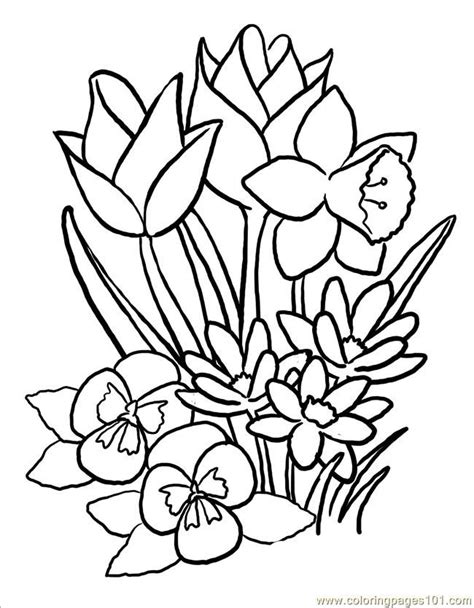 printable spring flowers coloring pages coloring home
