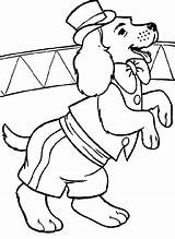 Kleurplaat Kleurplaten Honden Hond Hunde Zirkus Circo Malvorlage Chiens Colorat Mewarnai Kleuren Caini Planse Hund Coloriages Circ Anjing Entrenados Catelus sketch template