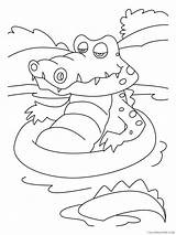 Crocodile Crocodiles Coloring4free 1301 Leau Coloriages sketch template