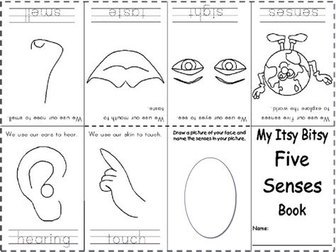 sense coloring pages  kids coloring home