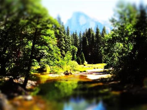 lunapic   photo editor tilt shift