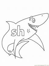 Coloring Sh Shark Letter Pages Printable Alphabets Education Alphabet Abc sketch template