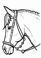 Cheval Hugolescargot Paarden sketch template