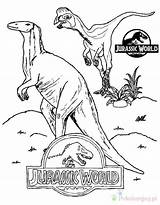 Jurassic Kolorowanki Dzieci Wydruku sketch template