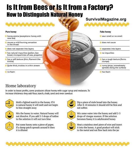 real  fake honey     difference survival magazine