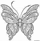 Papillon Motifs Zentangle Jolis Adulte Imprimé sketch template