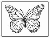 Butterfly Coloring Pages Butterflies Colouring Printable Buterfly Book Sheets Color Kids Coloriage Drawing Adult sketch template