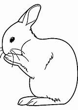 Hasen Kaninchen Ausmalbilder Malvorlagen Coniglio Disegnare Kinder Immagini Animali Disegni Drucken Colorare Volpe Kostenlose sketch template