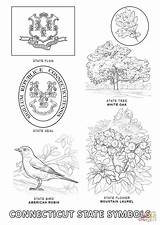 Connecticut Coloring State Symbols Pages Flag Printable Bird Select Category Flower Supercoloring sketch template