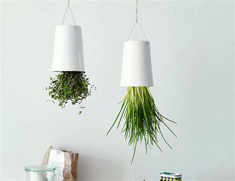 hanging herbs upside   diy upside  herb planter projects