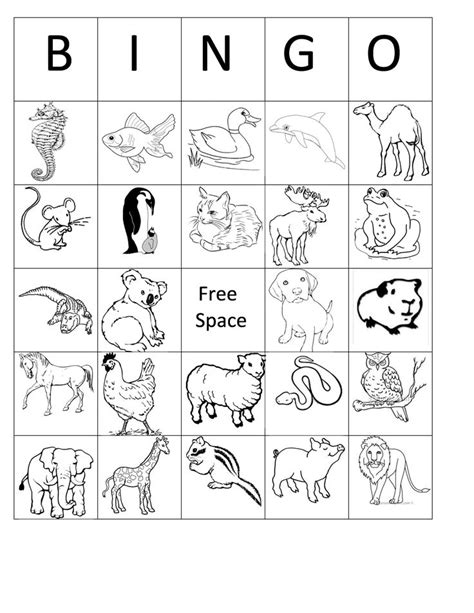 printable animal bingo card  black  white coloring sheet birthday