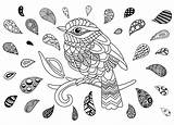 Oiseau Bird Oiseaux Uccelli Zentangle Colorare Aves Coloriage Adulti Coloriages Adultos Goutes Gouttes Colorati Justcolor sketch template