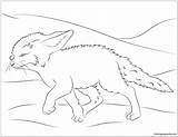 Fox Fennec Coloring Pages Cute Walks Color Online Popular Seasons sketch template