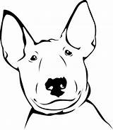 Bull Terrier Drawing Getdrawings Portrait sketch template