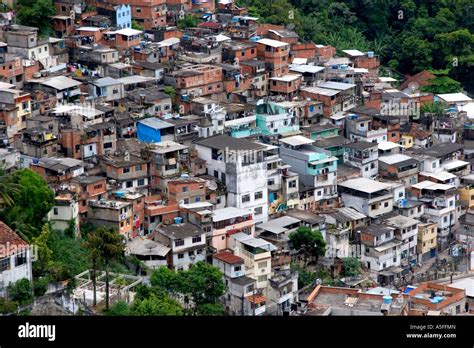 hillside favela  rio de janeiro brazil  slums  home  thousands  people squatting