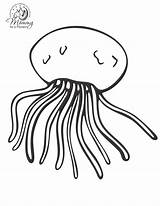 Jellyfish Printablefreecoloring Coloringtop Humans Poisonous Coloringbay sketch template
